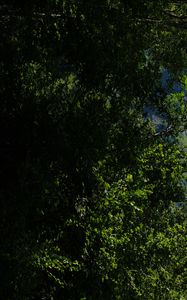 Preview wallpaper mountains, rocks, forest, trees, nature, summer