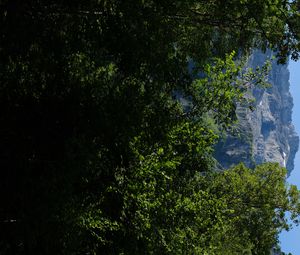 Preview wallpaper mountains, rocks, forest, trees, nature, summer