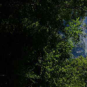 Preview wallpaper mountains, rocks, forest, trees, nature, summer