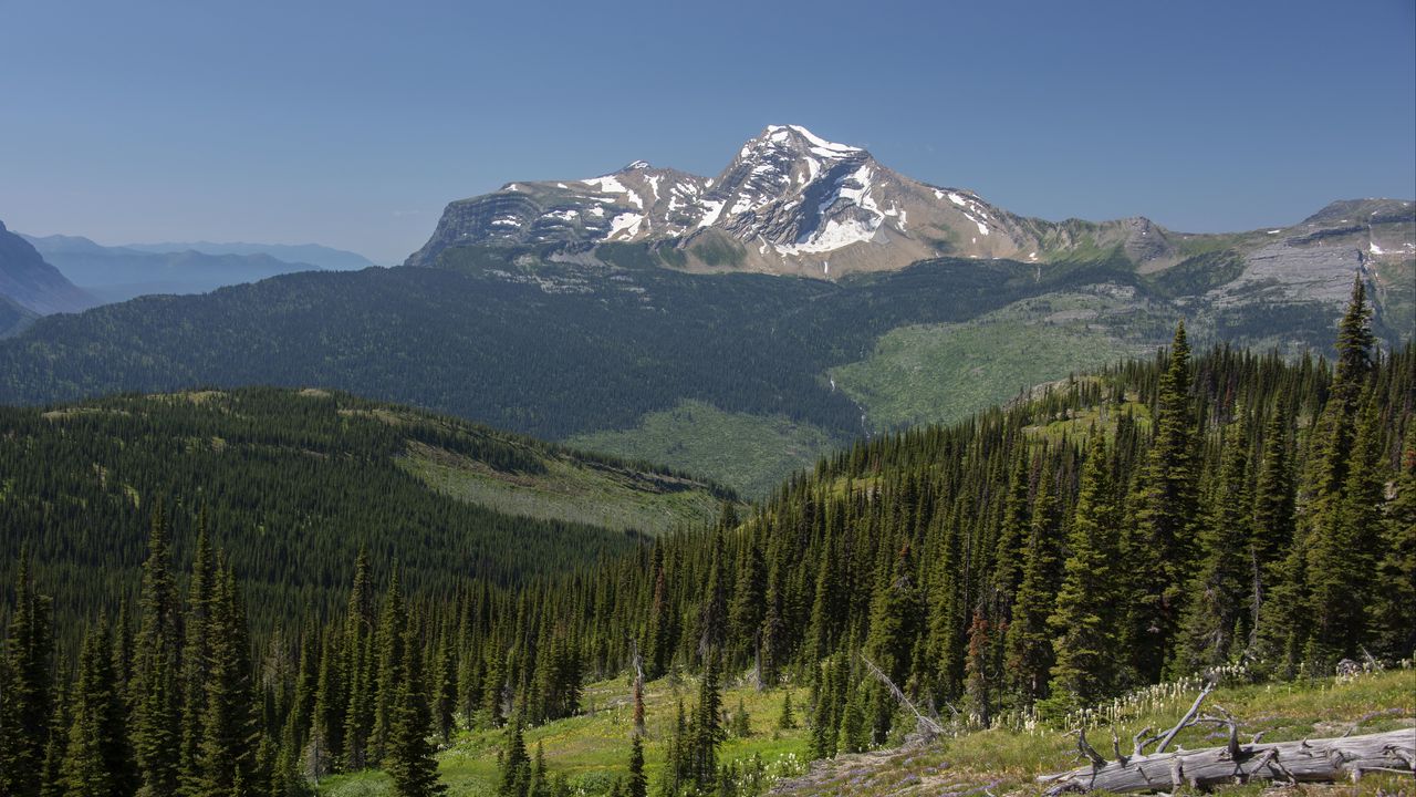 Wallpaper mountains, rocks, forest, trees, snowy