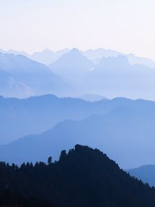 Preview wallpaper mountains, rocks, forest, trees, distance