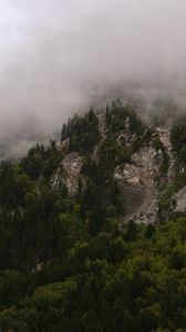 Preview wallpaper mountains, rocks, forest, trees, fog, clouds