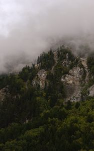 Preview wallpaper mountains, rocks, forest, trees, fog, clouds