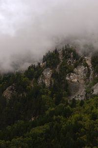 Preview wallpaper mountains, rocks, forest, trees, fog, clouds