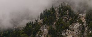 Preview wallpaper mountains, rocks, forest, trees, fog, clouds