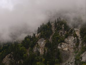 Preview wallpaper mountains, rocks, forest, trees, fog, clouds
