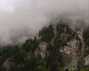 Preview wallpaper mountains, rocks, forest, trees, fog, clouds