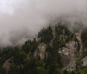 Preview wallpaper mountains, rocks, forest, trees, fog, clouds