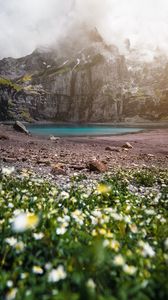 Preview wallpaper mountains, rocks, lake, fog, flowers