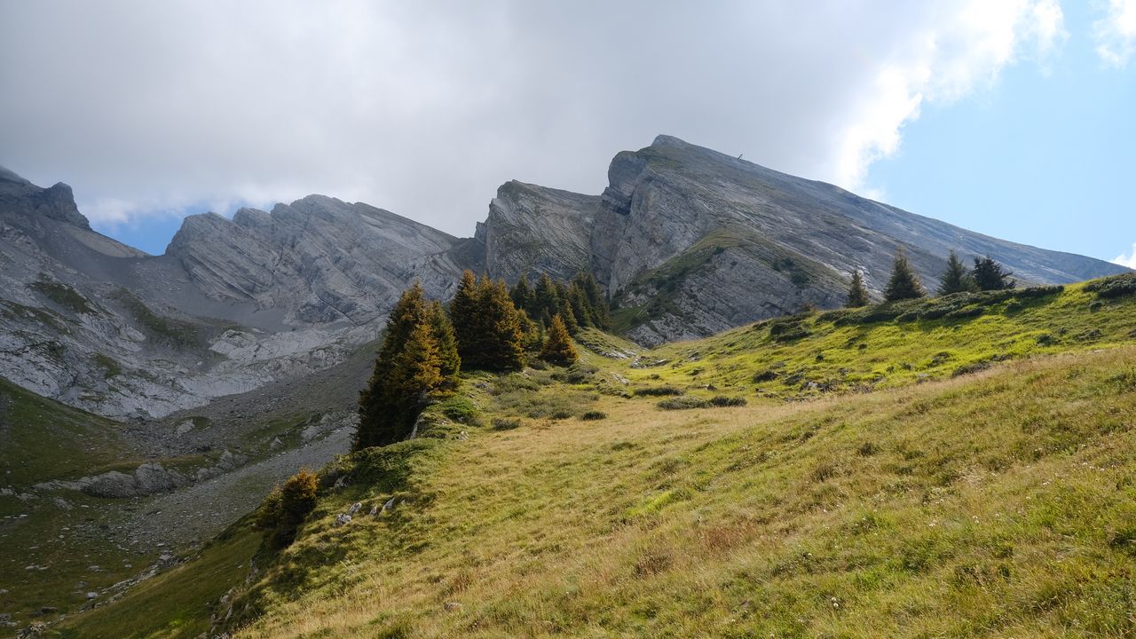 Wallpaper mountains, rocks, landscape, trees, slope