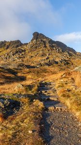Preview wallpaper mountains, rocks, path, nature