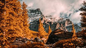 Preview wallpaper mountains, rocks, peaks, trees, landscape