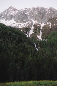 Preview wallpaper mountains, rocks, peaks, snow, trees