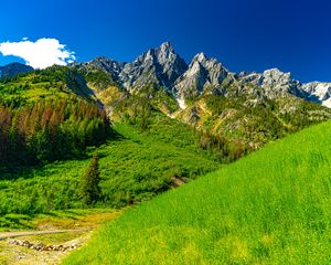 Preview wallpaper mountains, rocks, relief, grass, slopes, landscape