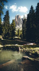 Preview wallpaper mountains, rocks, river, spruce, trees