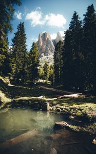 Preview wallpaper mountains, rocks, river, spruce, trees