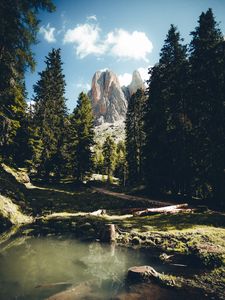 Preview wallpaper mountains, rocks, river, spruce, trees