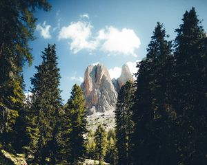 Preview wallpaper mountains, rocks, river, spruce, trees