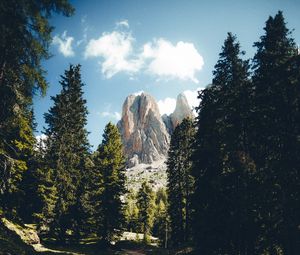 Preview wallpaper mountains, rocks, river, spruce, trees