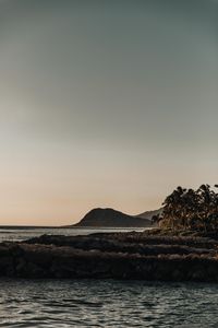 Preview wallpaper mountains, rocks, sea, palm