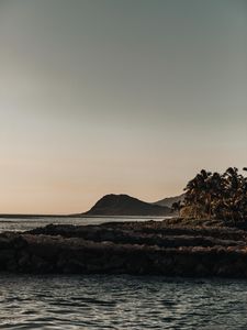 Preview wallpaper mountains, rocks, sea, palm