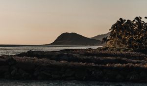 Preview wallpaper mountains, rocks, sea, palm