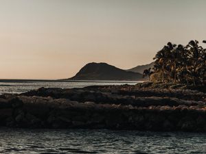 Preview wallpaper mountains, rocks, sea, palm