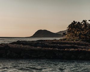 Preview wallpaper mountains, rocks, sea, palm