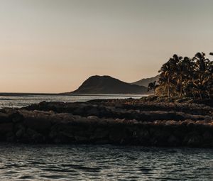 Preview wallpaper mountains, rocks, sea, palm