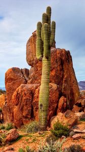 Preview wallpaper mountains, rocks, sky, cactus