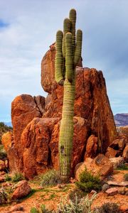 Preview wallpaper mountains, rocks, sky, cactus