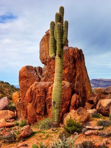 Preview wallpaper mountains, rocks, sky, cactus