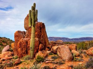 Preview wallpaper mountains, rocks, sky, cactus