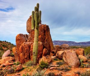 Preview wallpaper mountains, rocks, sky, cactus