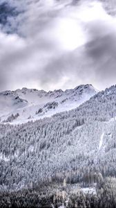 Preview wallpaper mountains, rocks, snow, forest, snowy