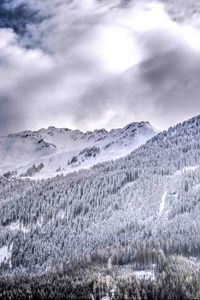 Preview wallpaper mountains, rocks, snow, forest, snowy
