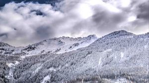 Preview wallpaper mountains, rocks, snow, forest, snowy