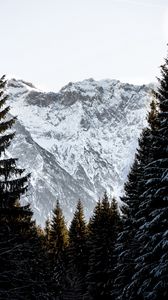 Preview wallpaper mountains, rocks, snow, snowy, spruce, sky