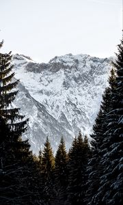 Preview wallpaper mountains, rocks, snow, snowy, spruce, sky