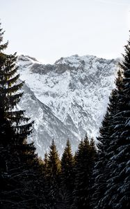 Preview wallpaper mountains, rocks, snow, snowy, spruce, sky