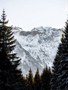 Preview wallpaper mountains, rocks, snow, snowy, spruce, sky