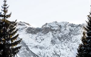 Preview wallpaper mountains, rocks, snow, snowy, spruce, sky