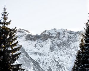 Preview wallpaper mountains, rocks, snow, snowy, spruce, sky