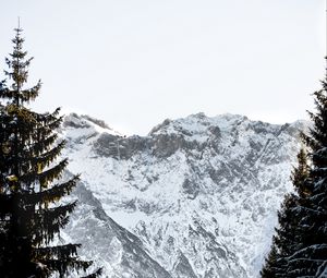 Preview wallpaper mountains, rocks, snow, snowy, spruce, sky
