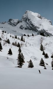 Preview wallpaper mountains, rocks, snow, snowy, spruce, trees