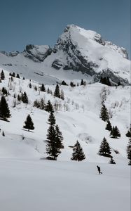 Preview wallpaper mountains, rocks, snow, snowy, spruce, trees