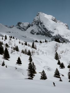 Preview wallpaper mountains, rocks, snow, snowy, spruce, trees