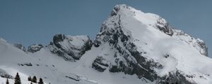 Preview wallpaper mountains, rocks, snow, snowy, spruce, trees