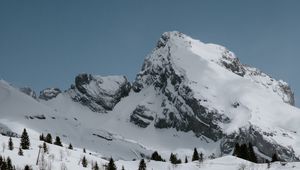 Preview wallpaper mountains, rocks, snow, snowy, spruce, trees