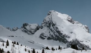 Preview wallpaper mountains, rocks, snow, snowy, spruce, trees